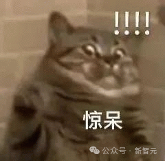 世界首富换人!81岁硅谷狂人4000亿身价碾压马斯克,33岁华裔才女逆袭