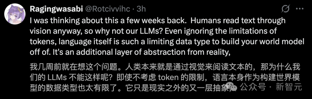 文本已死,视觉当立!Karpathy狂赞DeepSeek新模型,终结分词器时代